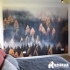 Fototapeta Las Zielone i Jesienne kolory na wymiar kolekcja PRESTIGE